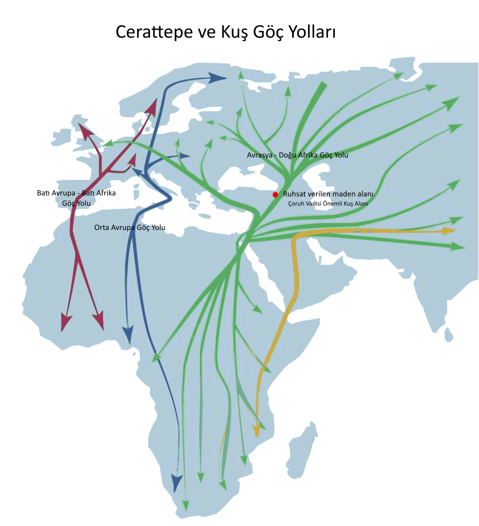 Cerattepe ve Kuş Göç Yolları