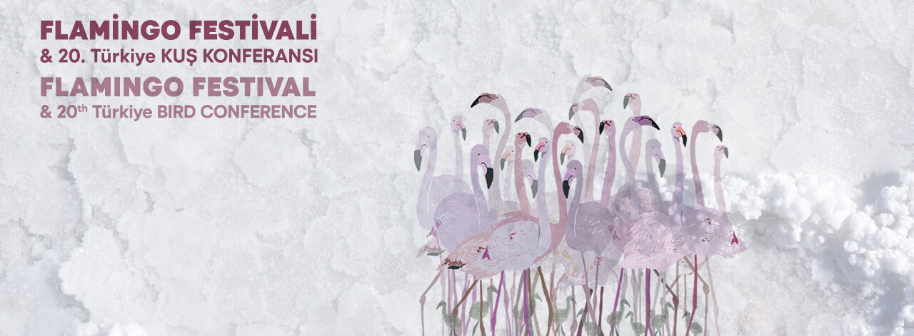 Flamingo Festivali & 20. Türkiye Kuş Konferansı'nda bir araya geliyoruz.